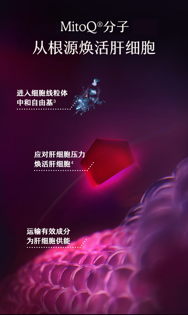产品详情