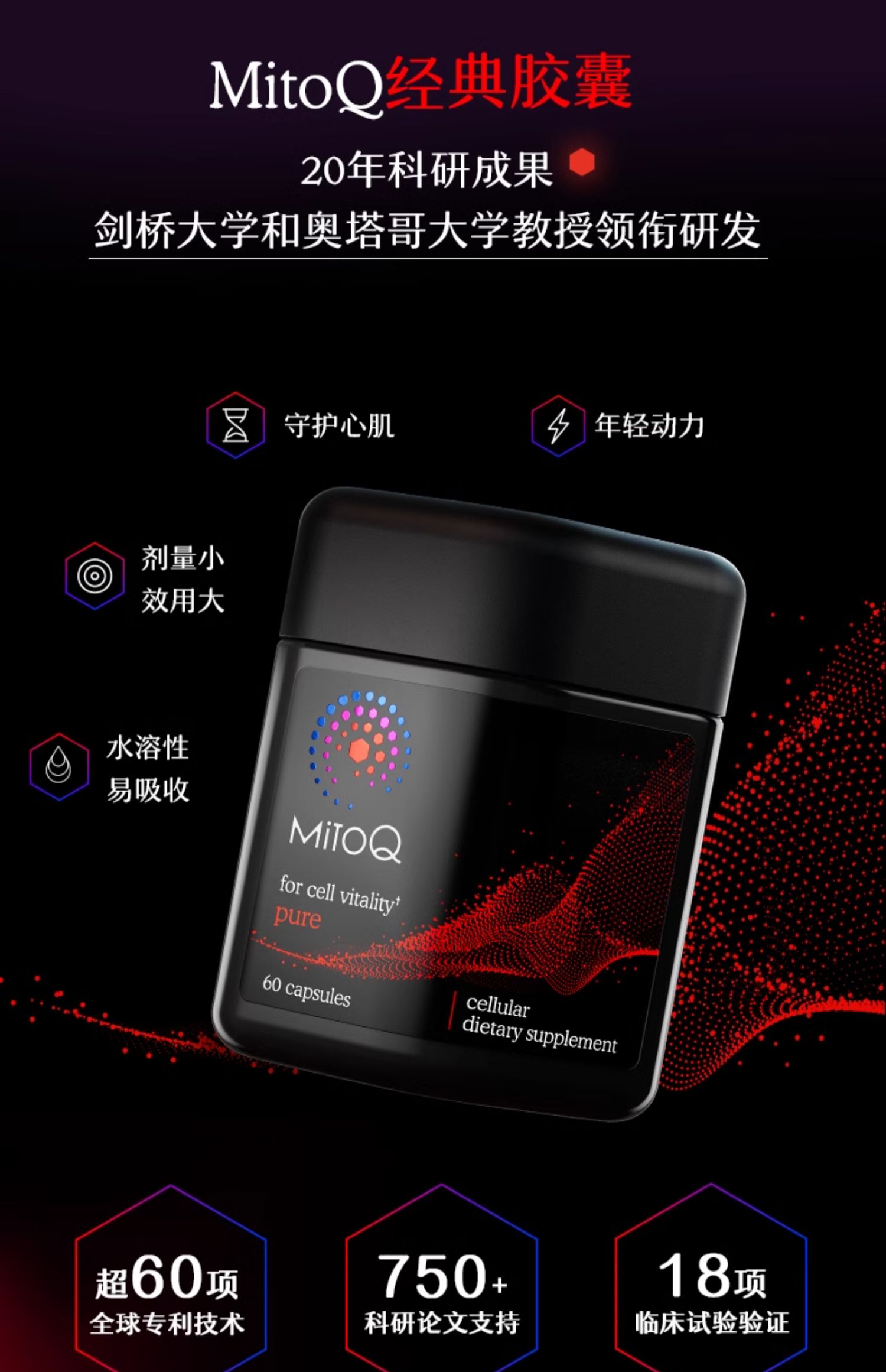 产品详情