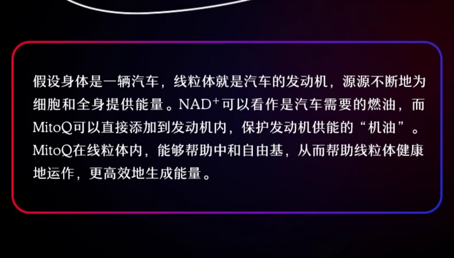产品详情