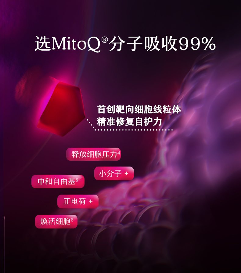 产品详情