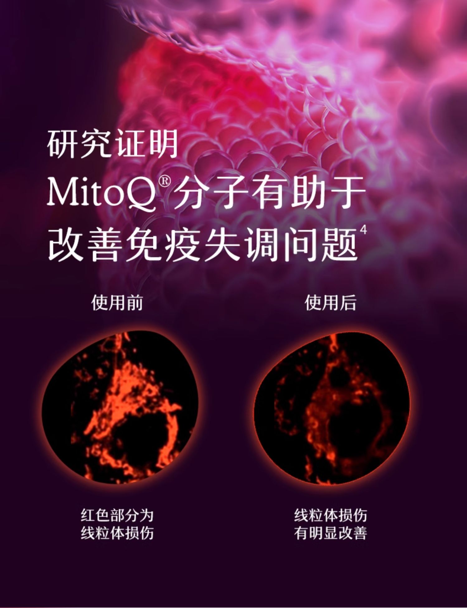 产品详情