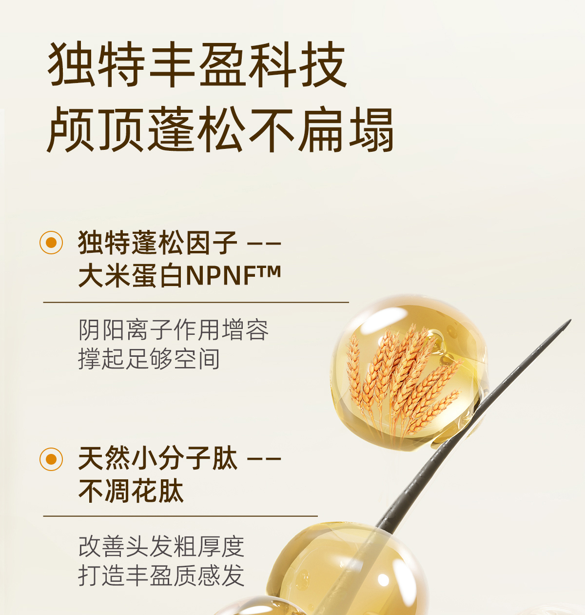 产品详情