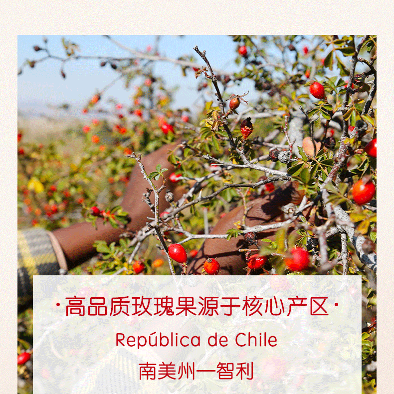 产品详情