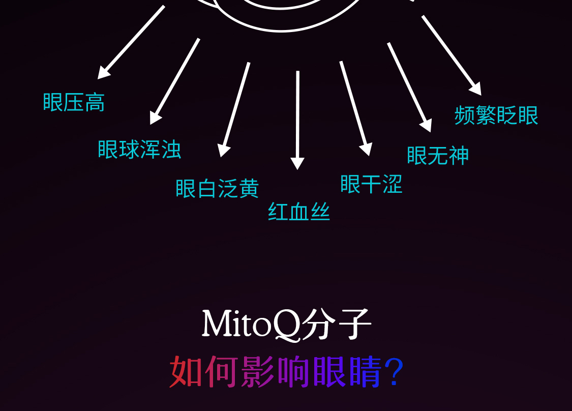 产品详情