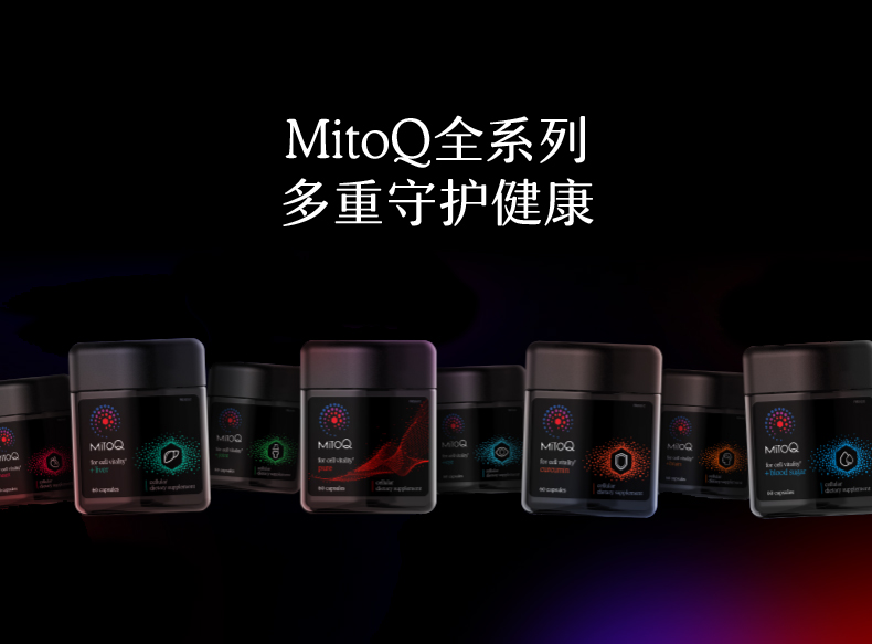 产品详情