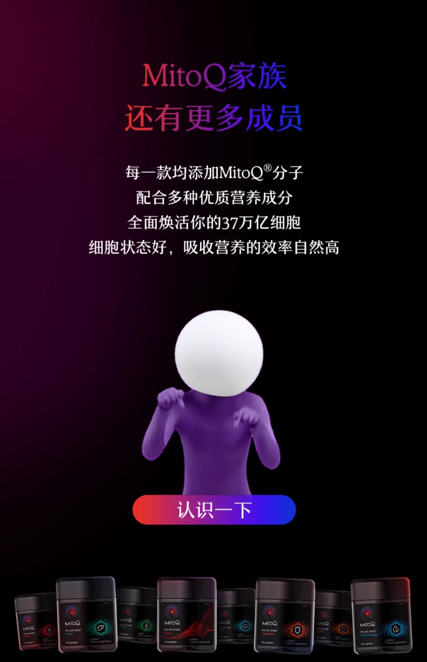 产品详情