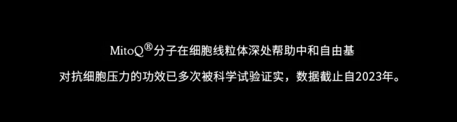 产品详情