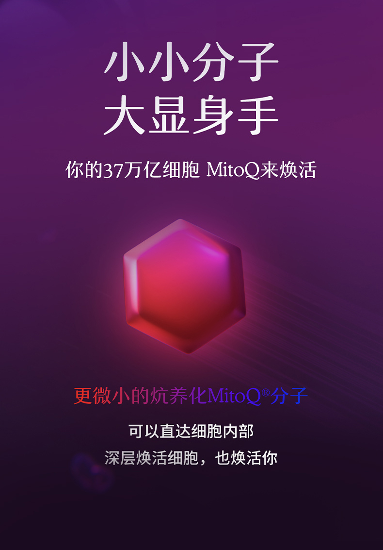 产品详情