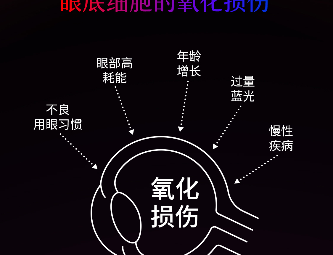 产品详情