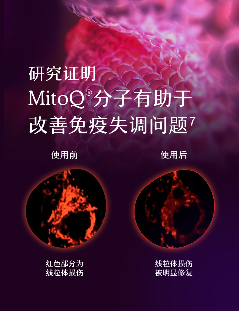 产品详情