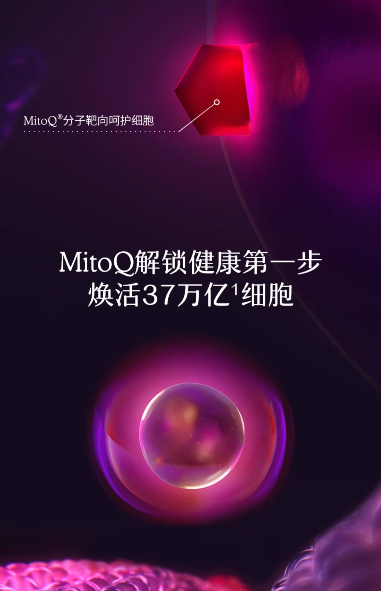 产品详情