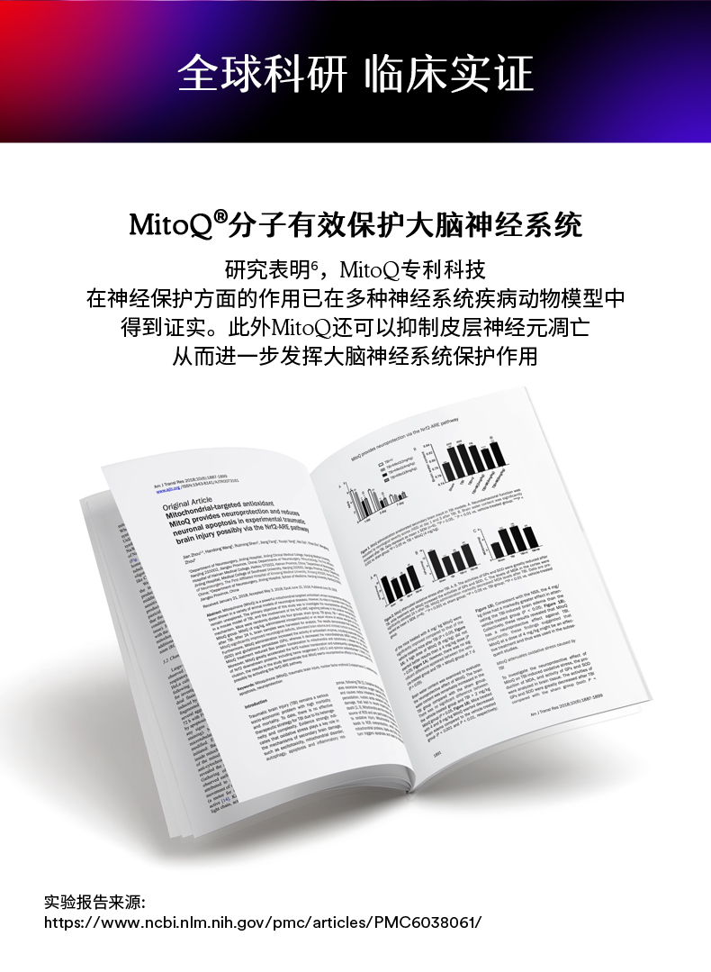 产品详情