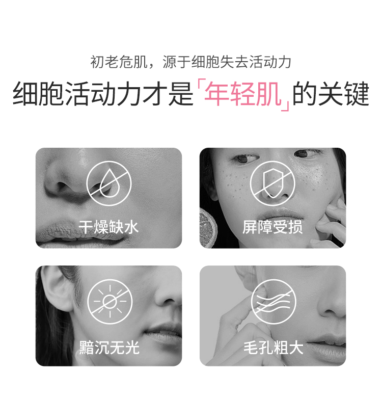 产品详情