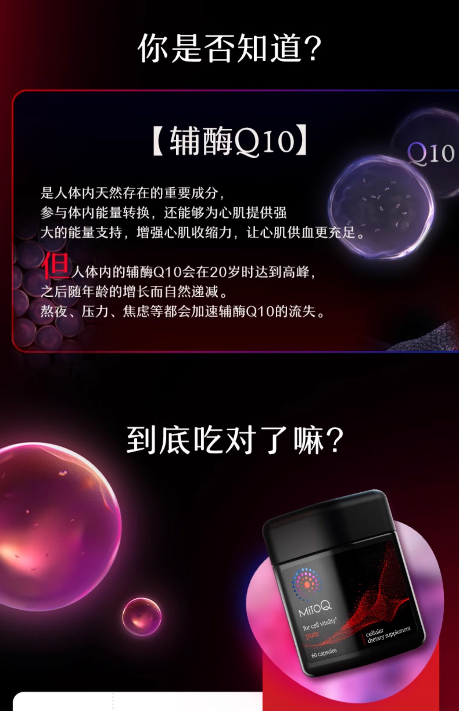 产品详情