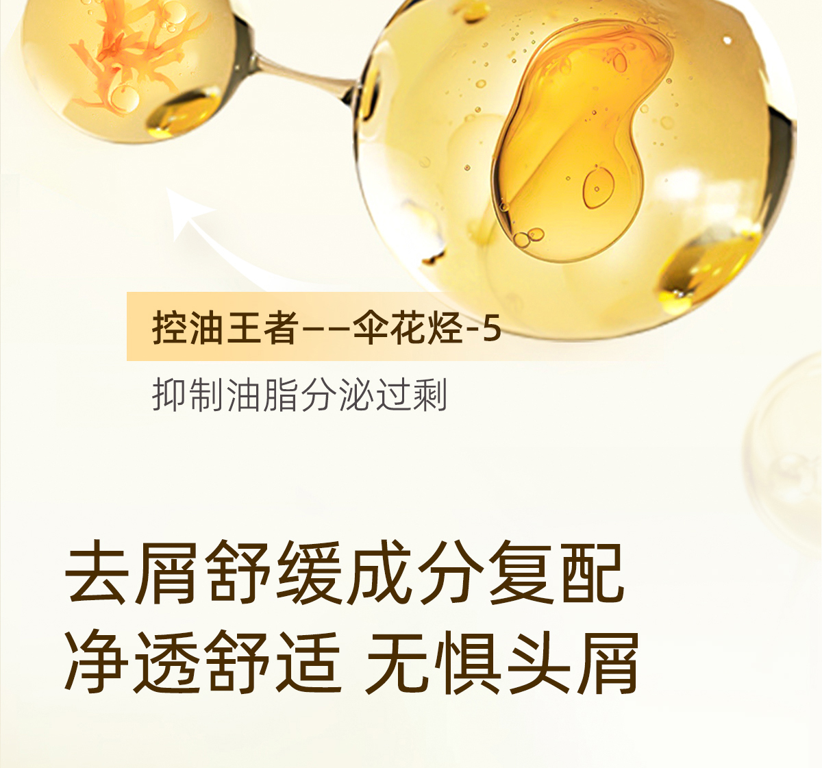 产品详情