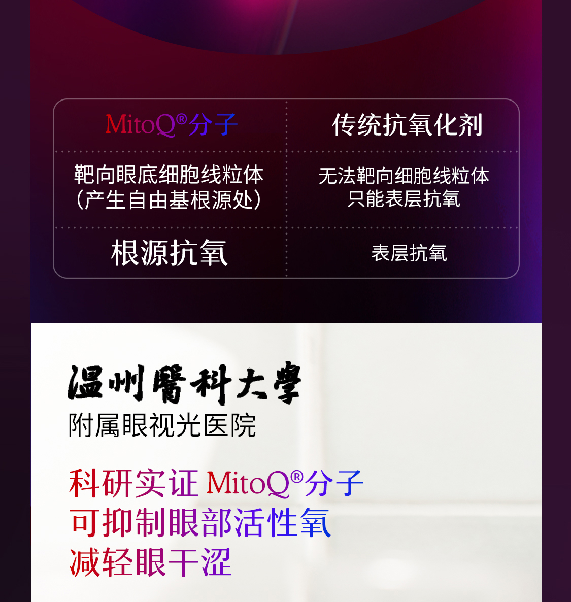 产品详情