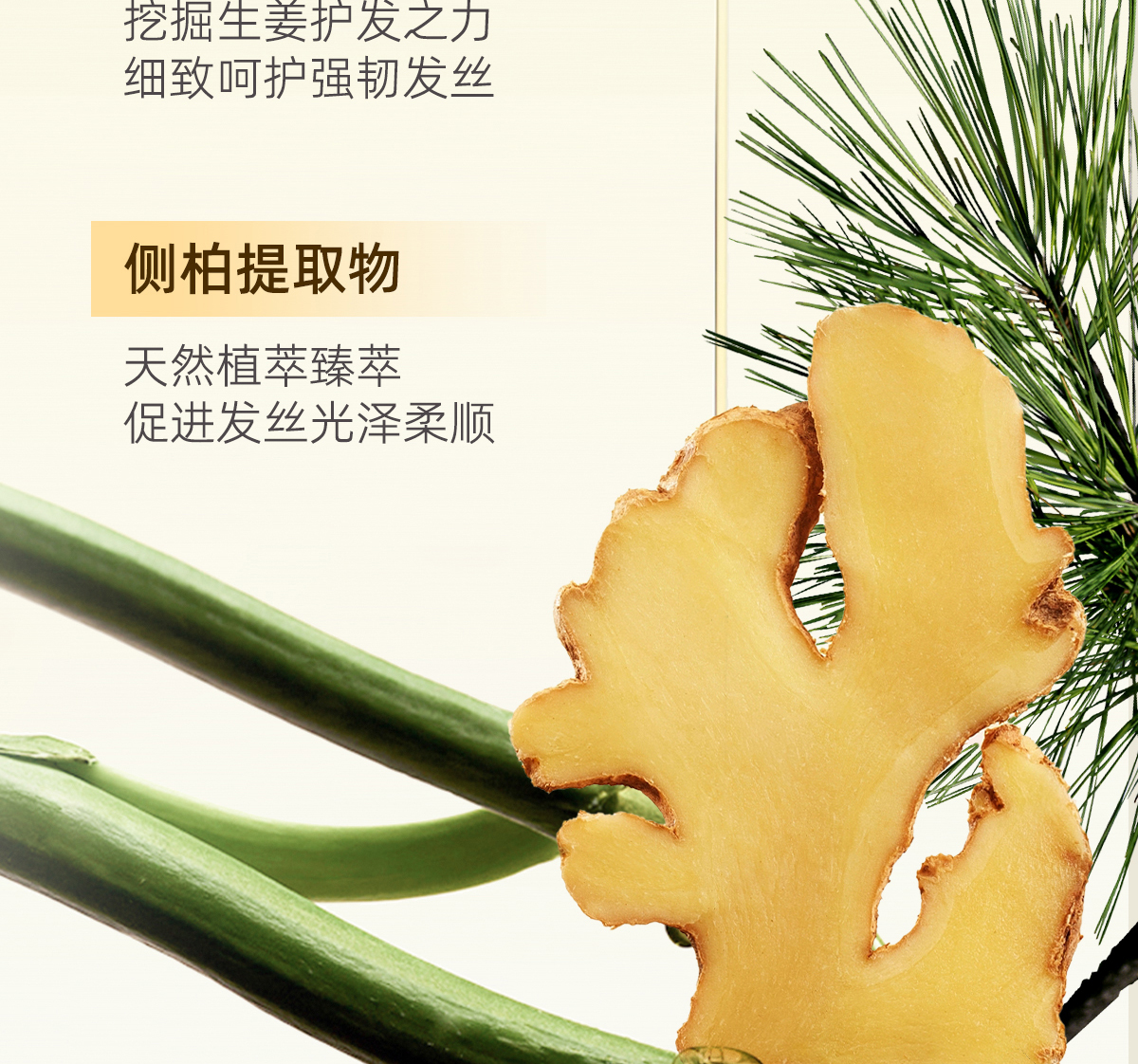 产品详情