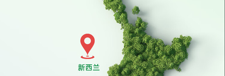 产品详情