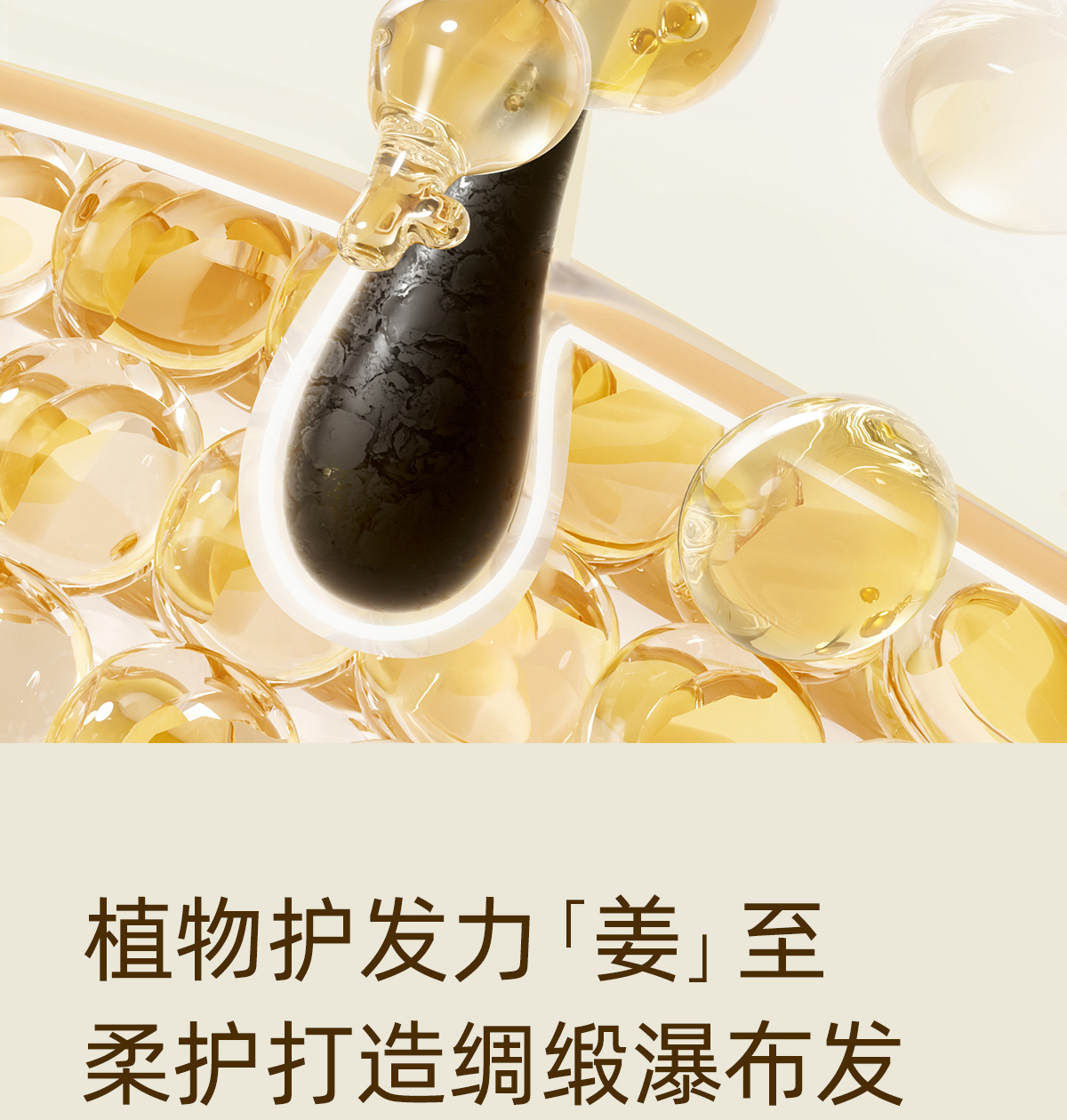 产品详情
