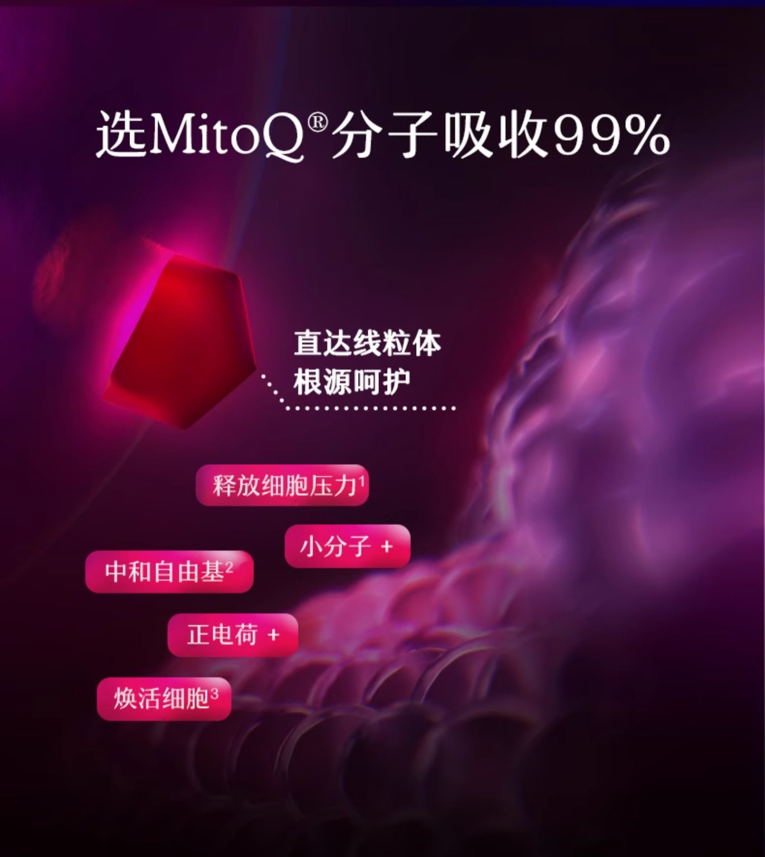 产品详情