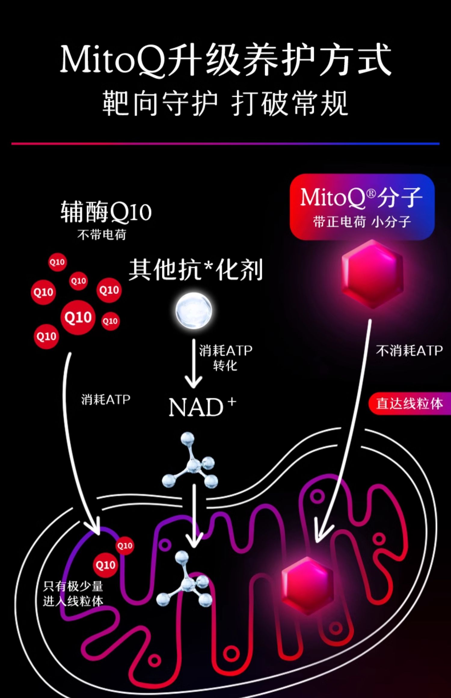 产品详情