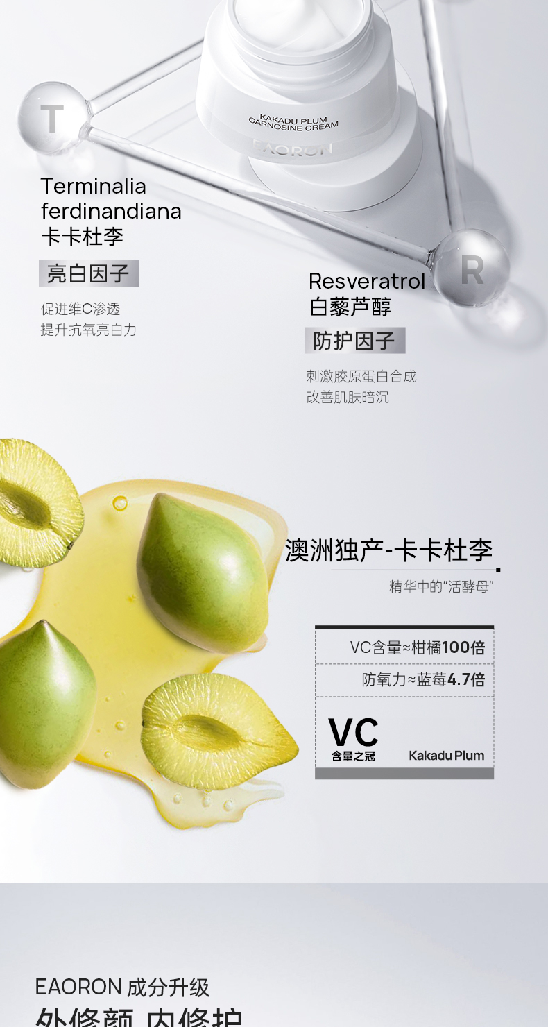产品详情