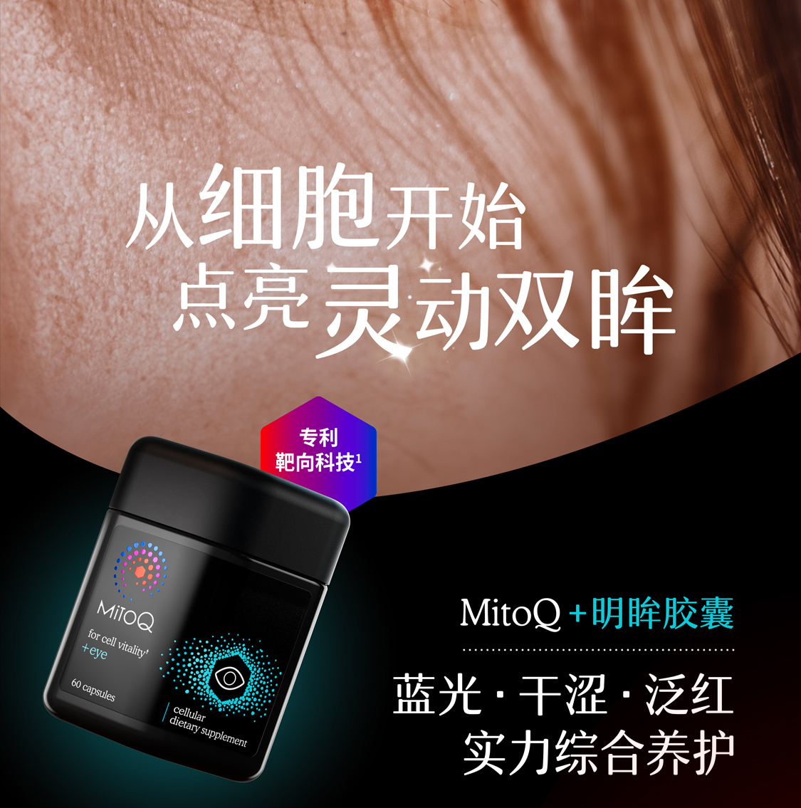 产品详情