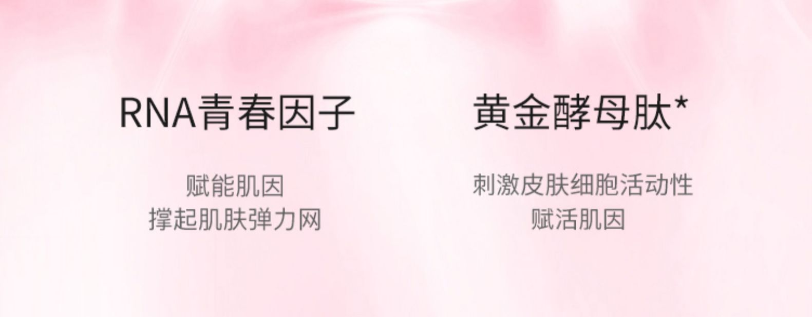 产品详情