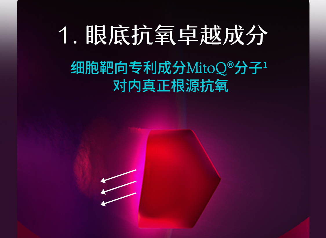产品详情