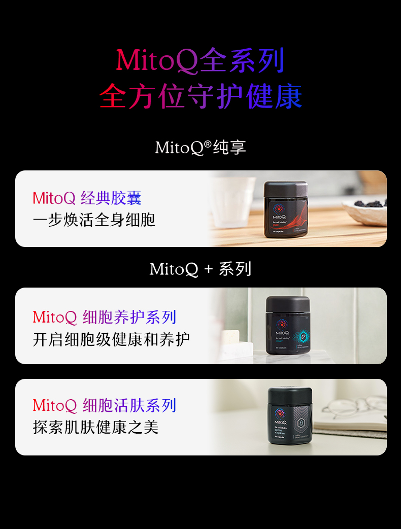 产品详情