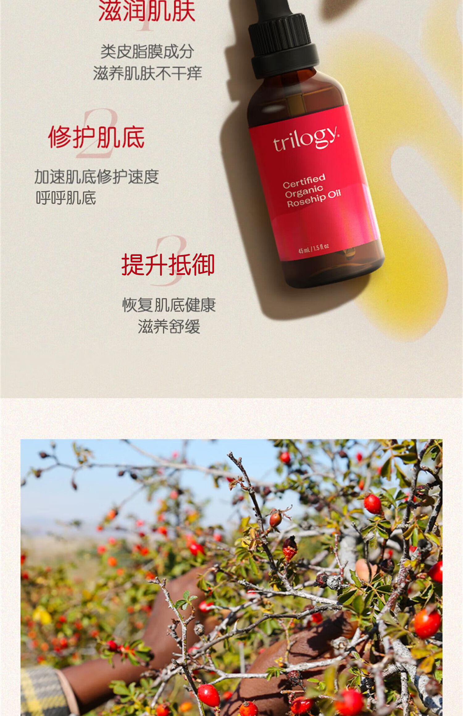 产品详情