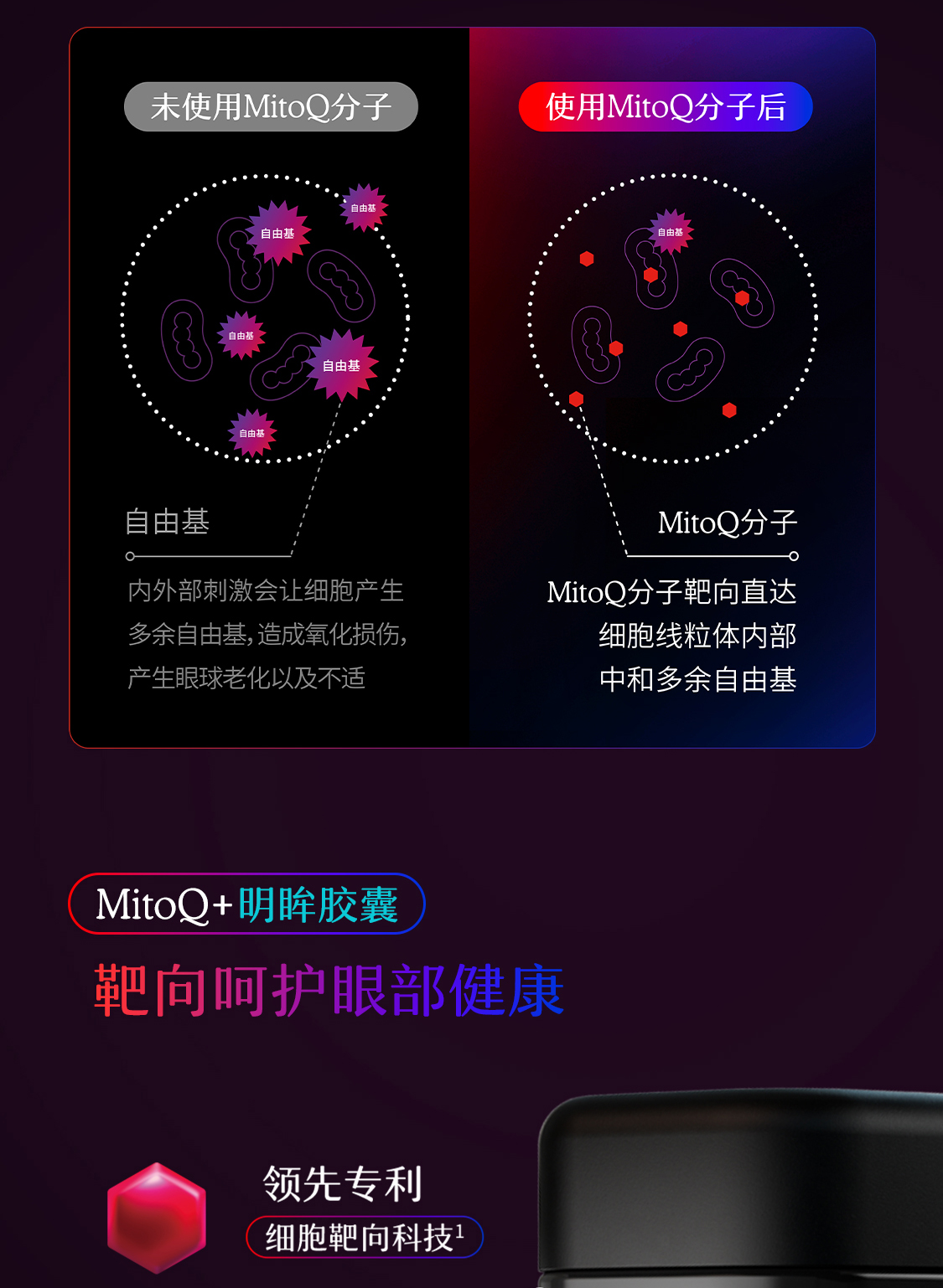 产品详情