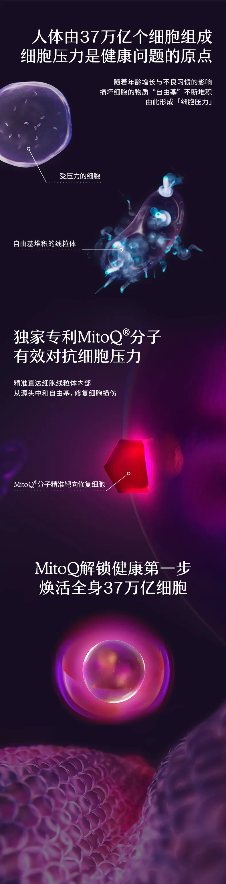 商品详情图