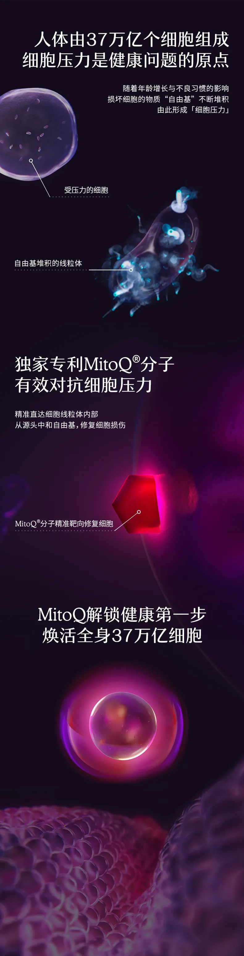 商品详情图